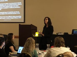 Diane Sheline discusses CVI interventions
